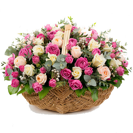 Очарование утра Очарование утра